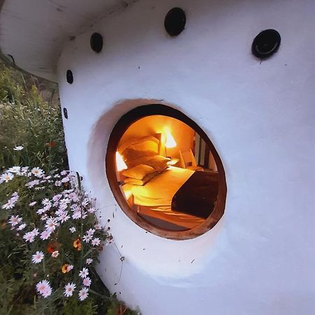 Half Moon Hollow Eco Cottage 모젤베이 외부 사진