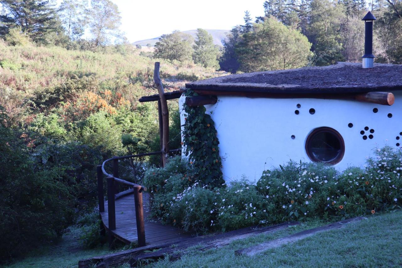 Half Moon Hollow Eco Cottage 모젤베이 외부 사진