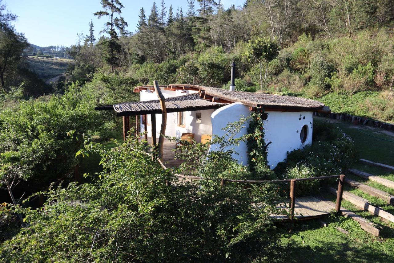 Half Moon Hollow Eco Cottage 모젤베이 외부 사진