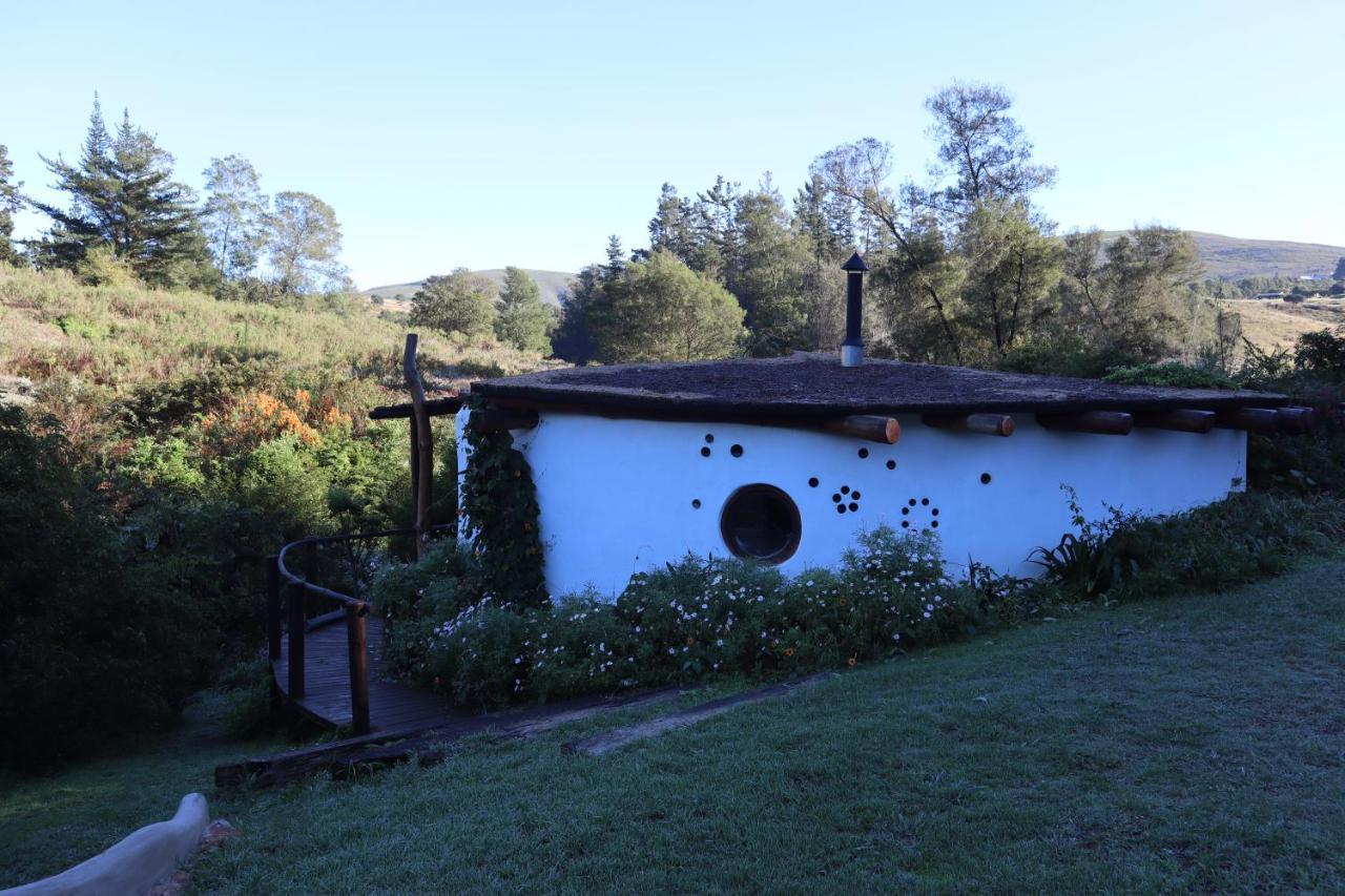 Half Moon Hollow Eco Cottage 모젤베이 외부 사진