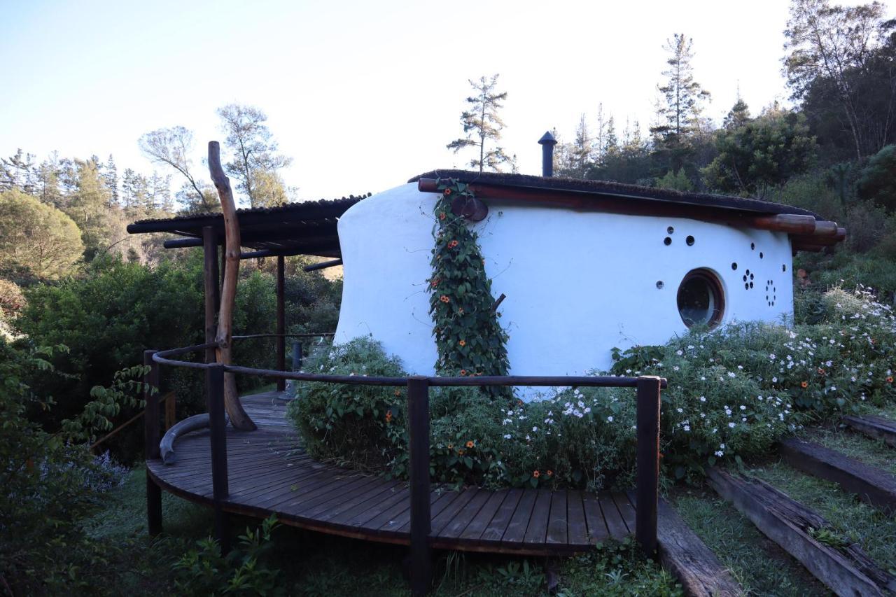 Half Moon Hollow Eco Cottage 모젤베이 외부 사진