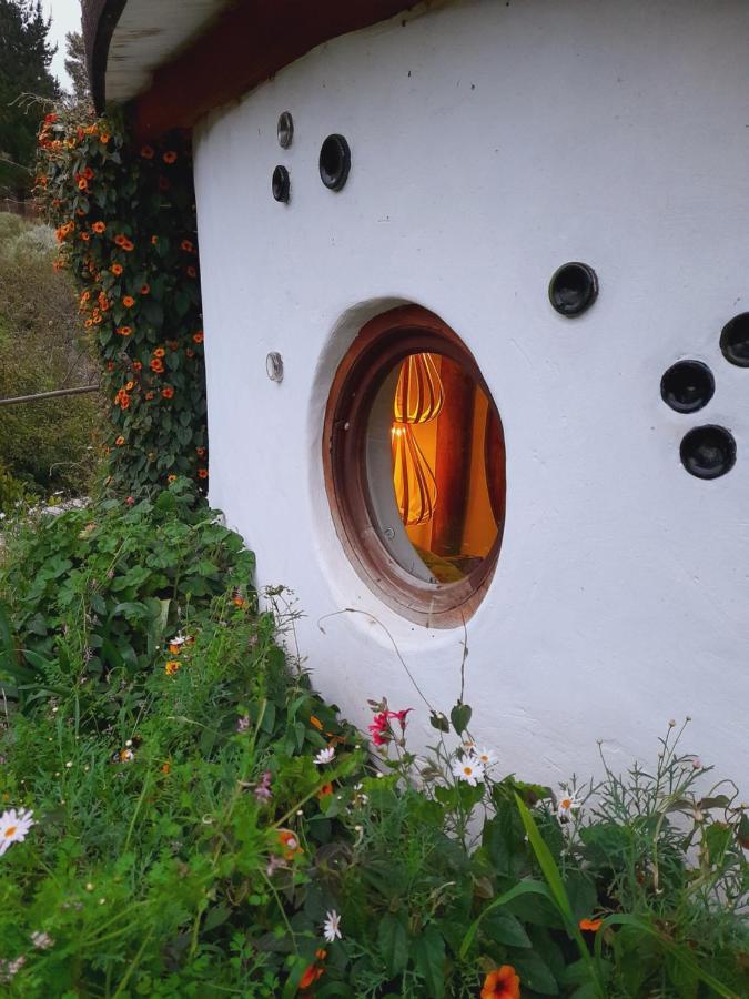 Half Moon Hollow Eco Cottage 모젤베이 외부 사진
