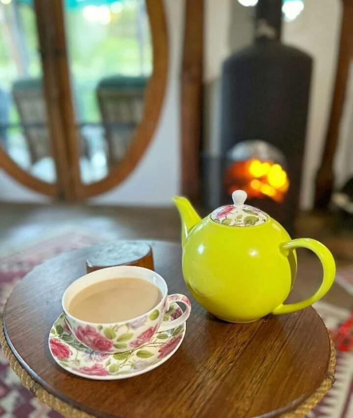 Half Moon Hollow Eco Cottage 모젤베이 외부 사진